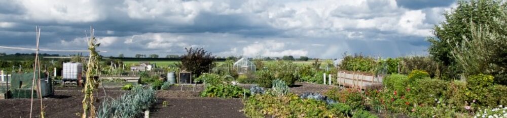 Volkstuindersvereniging Leeghwater